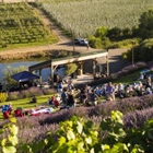 United States Launches Certified Tourism Ambassador Program in Yakima Valley to Enhance Local Tourism and Visitor Experiences